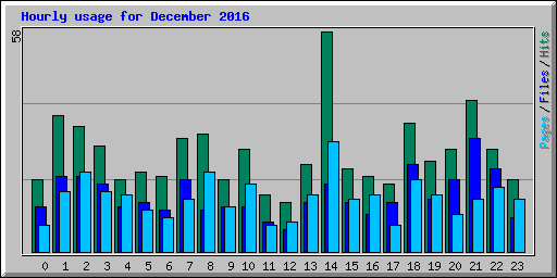 Hourly usage for December 2016