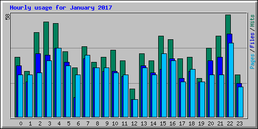 Hourly usage for January 2017